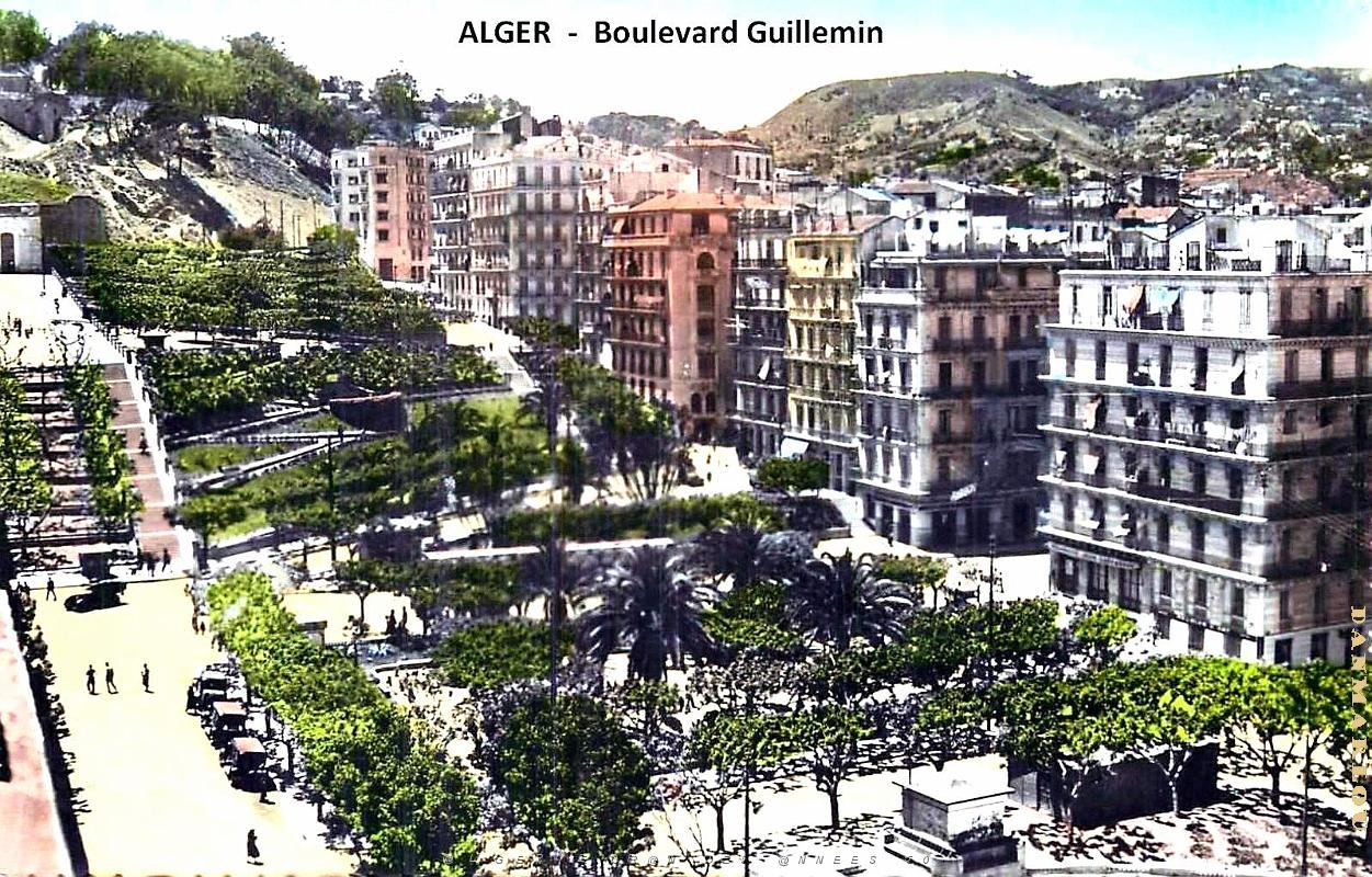 Alger - Boulevard Guillemin .jpg